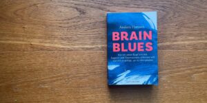 Das Buch Brain Blues (Ängste und Depressionen) liegt auf einem Holzfußboden.